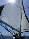 Solar Planet 51 Beneteau Idylle 15,5: Wing to wing sailing